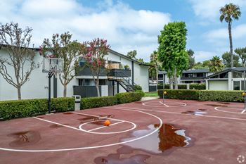 A basketball court with a basketball and a ball on it.